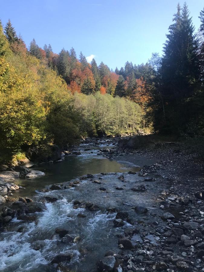 Ferienwohnung Morgentau Am Rande Der Wildnis Sibratsgfäll Zewnętrze zdjęcie