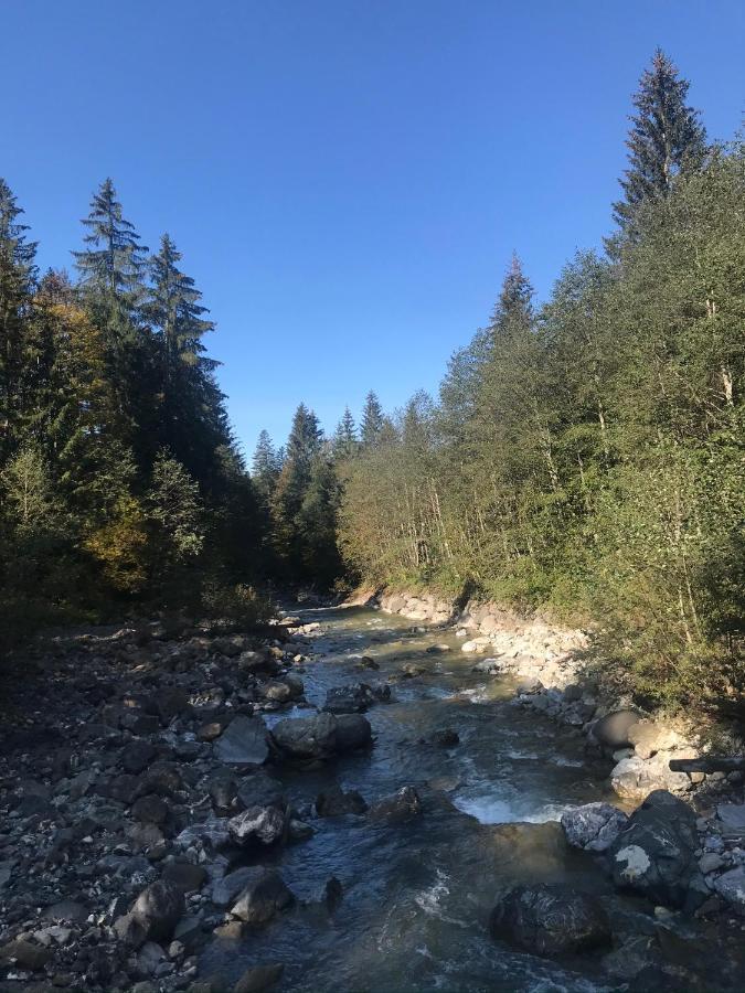 Ferienwohnung Morgentau Am Rande Der Wildnis Sibratsgfäll Zewnętrze zdjęcie